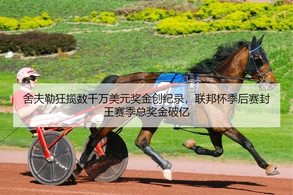 舍夫勒狂揽数千万美元奖金创纪录，联邦杯季后赛封王赛季总奖金破亿